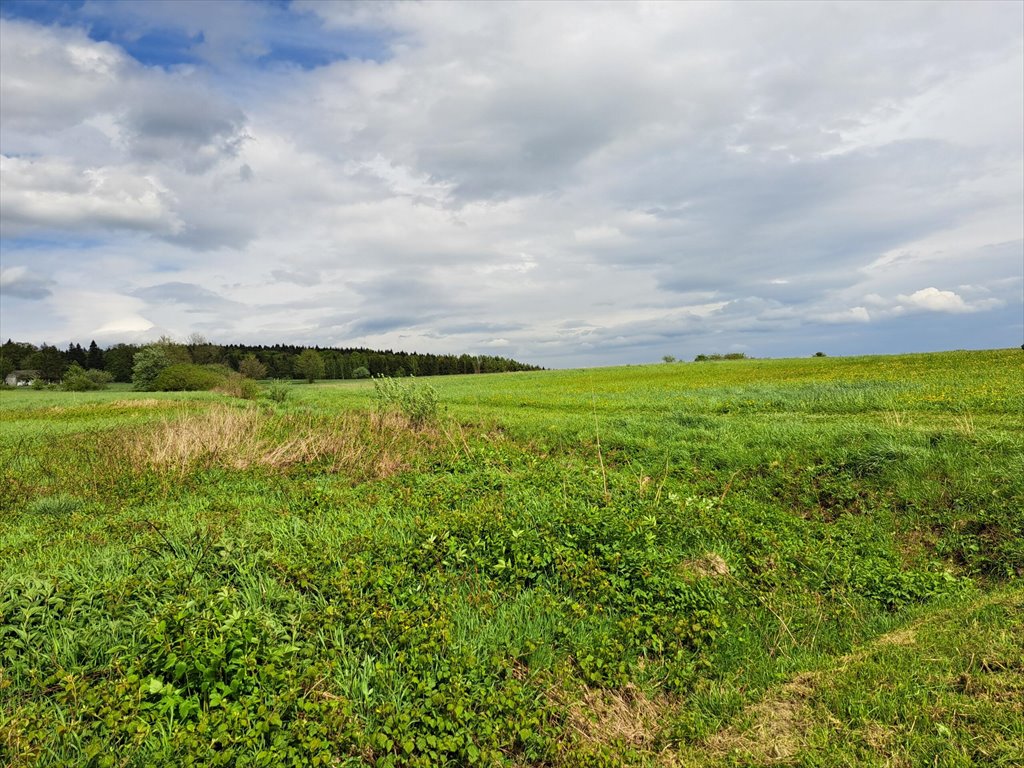 Działka budowlana na sprzedaż Lipinki  3 031m2 Foto 5