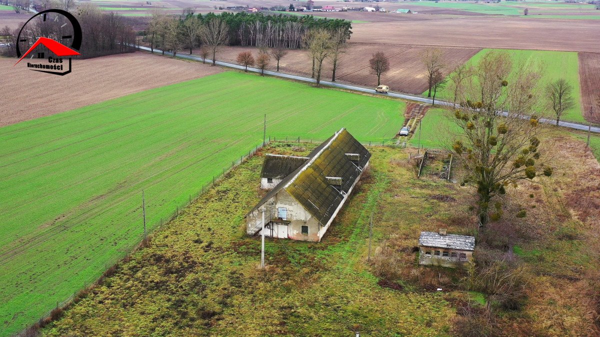 Lokal użytkowy na wynajem Kania  610m2 Foto 5