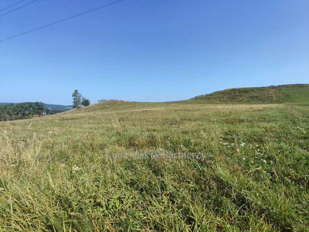 Działka budowlana na sprzedaż Marciszów  1 495m2 Foto 2