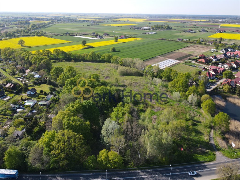 Działka inwestycyjna na sprzedaż Serby  18 900m2 Foto 8