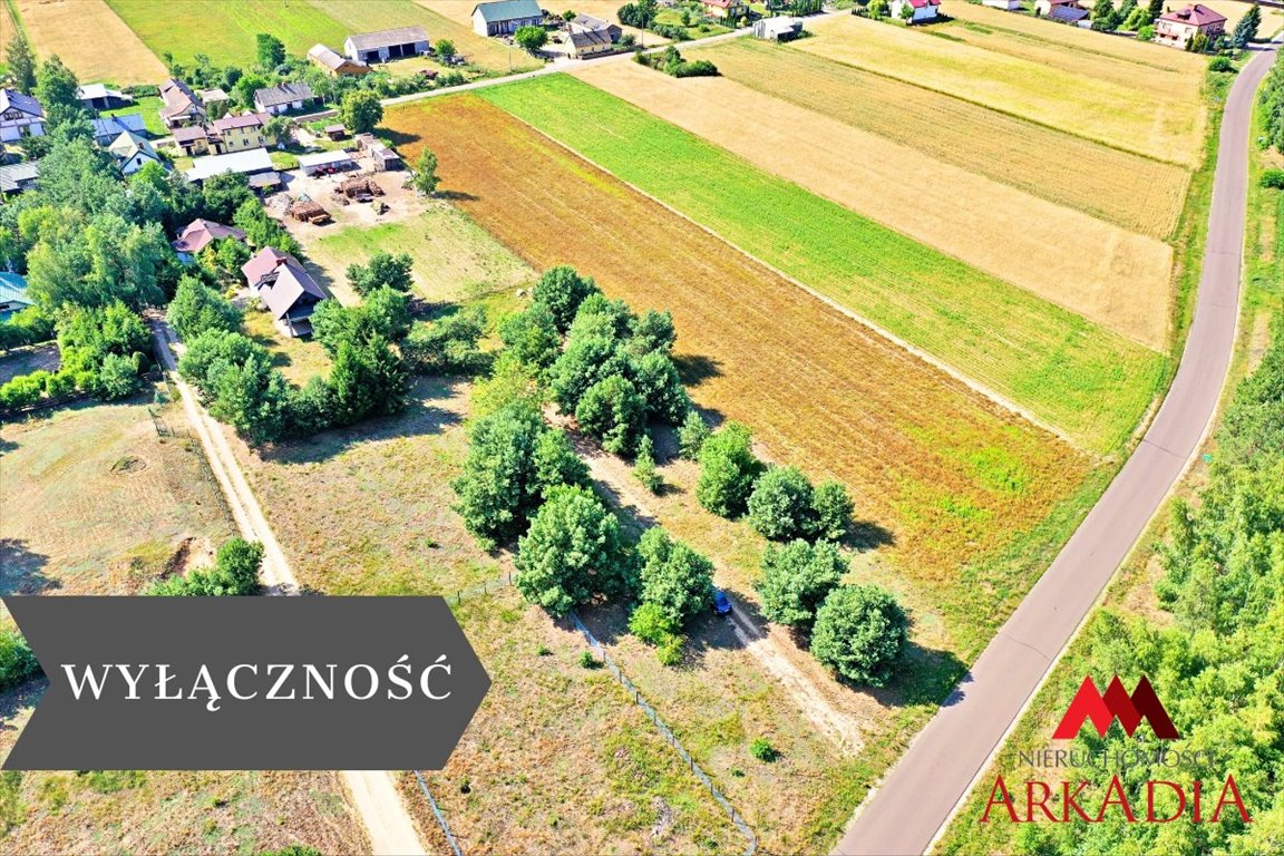 Sprzedam działki 3706 m² w Okna - las, dostęp do drogi Okna  3 706m2 Foto 1