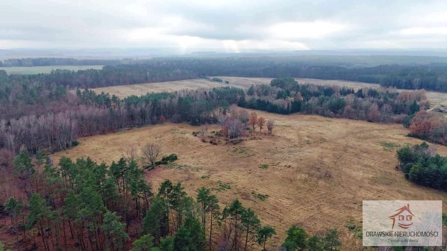 Działka inna na sprzedaż Pepłówek, Pepłówek  245 314m2 Foto 6