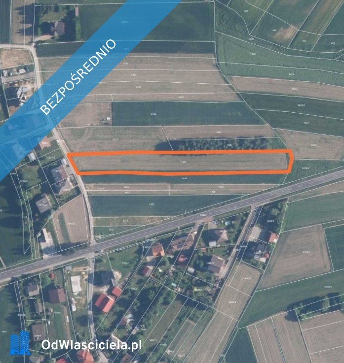 Działka budowlana na sprzedaż Zasole, Załęcze  3 899m2 Foto 1