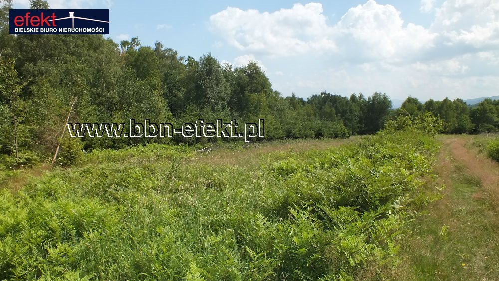 Działka budowlana na sprzedaż Buczkowice 3 900m2 Foto 1 Działka budowlana na sprzedaż Buczkowice 3 900m2 Foto 1