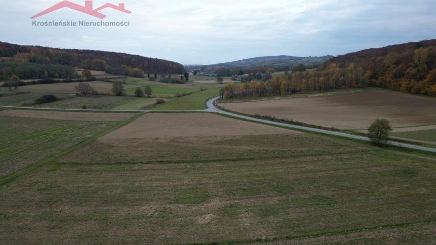 Działka leśna na sprzedaż Piotrówka  2 700m2 Foto 6