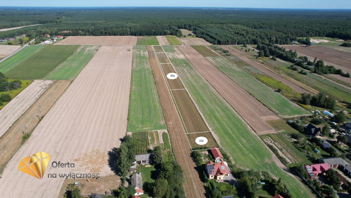 Działka budowlana na sprzedaż Nasutów  3 000m2 Foto 6