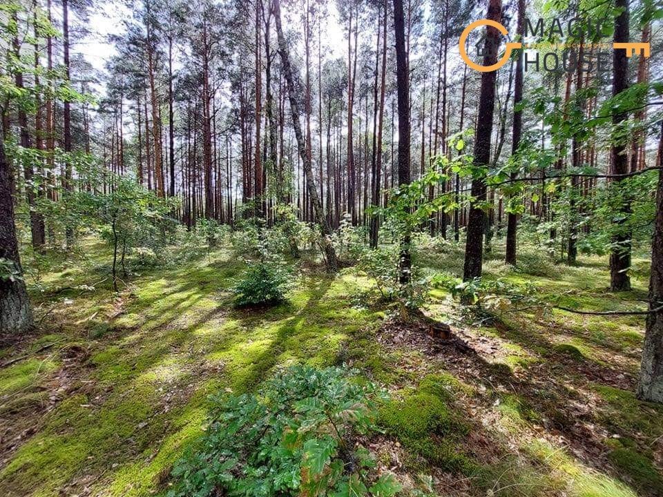 Działka leśna na sprzedaż Iwiczno, Czechowo  3 000m2 Foto 10