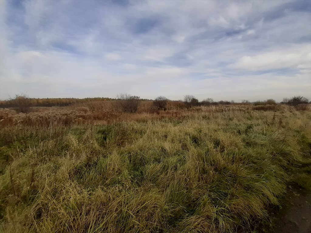 Działka inna na sprzedaż Górki  120 900m2 Foto 8