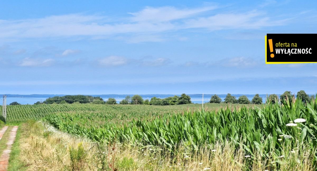 Działka rolna na sprzedaż Łęcze  26 900m2 Foto 3