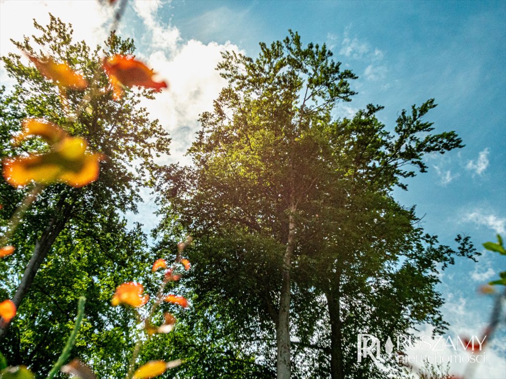 Działka budowlana na sprzedaż Przyjaźń, Mała Przyjaźń, Świerkowa  3 397m2 Foto 5