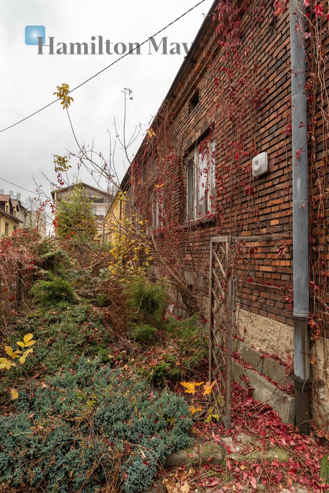 Lokal użytkowy na sprzedaż Kraków, Prądnik Biały, Heleny Modrzejewskiej  322m2 Foto 8