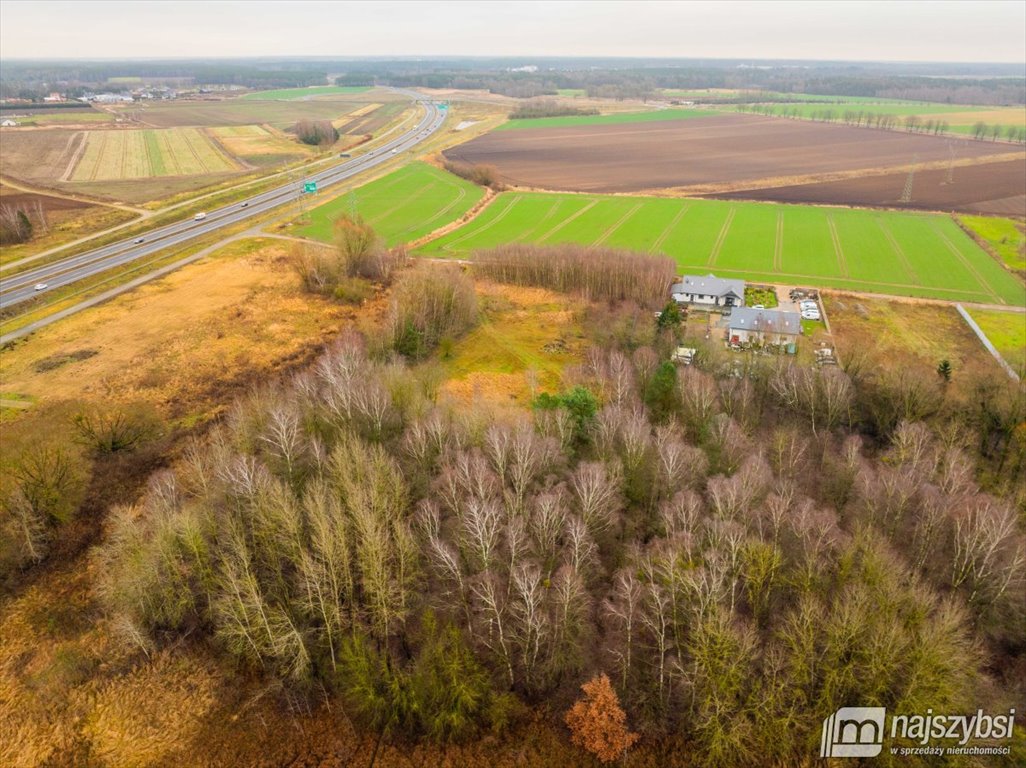 Działka rolna na sprzedaż Żółwia Błoć, Wieś  23 800m2 Foto 13