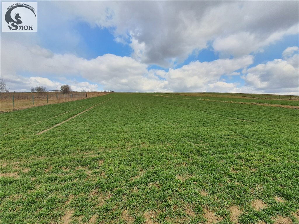 Polecam działkę 36 a z domem i garażem w Cianowicach Dużych Cianowice Duże  3 600m2 Foto 1