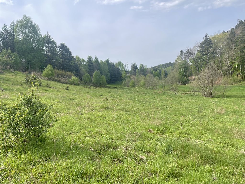 Działka budowlana na sprzedaż Koleczkowo, Bitwy Nad Ślężą  2 551m2 Foto 4