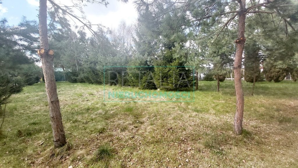 Działka w Komorowie z lasem i mediami, 4200 m² Komorów  4 200m2 Foto 1