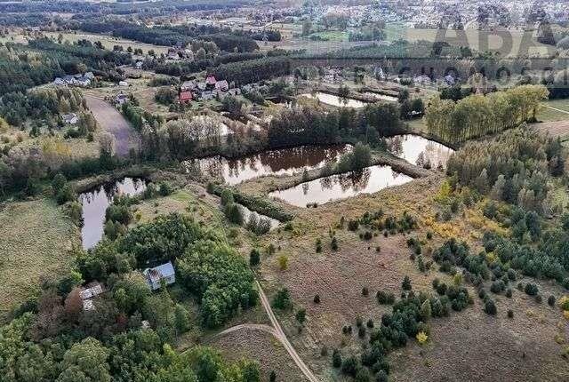 Działka budowlana na sprzedaż Golina-Kolonia  7 200m2 Foto 5