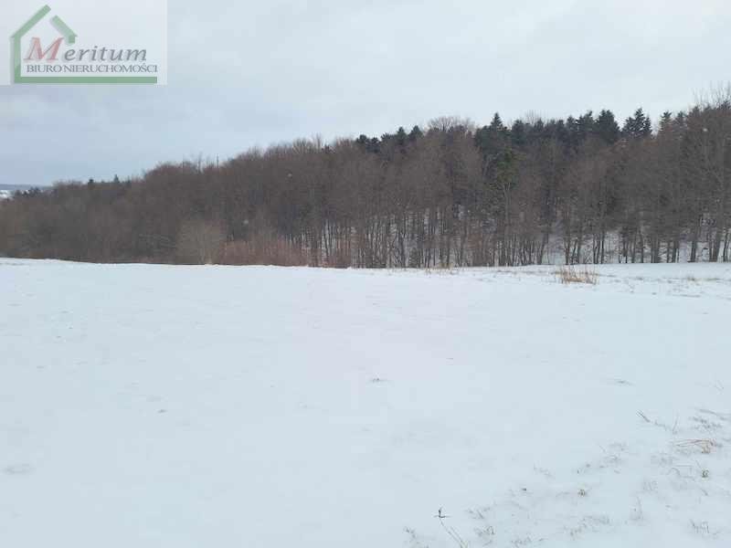 Działka budowlana na sprzedaż Łęki Dukielskie  5 100m2 Foto 4