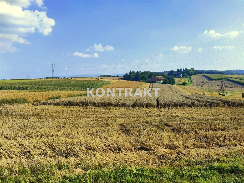 Działka budowlana na sprzedaż Polanka Wielka, Wiśniowa  1 700m2 Foto 1