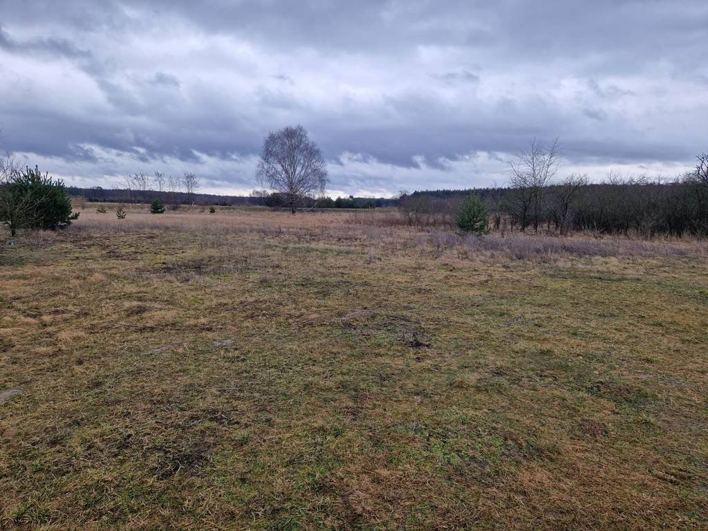 Działka budowlana na sprzedaż Ognica  760m2 Foto 5