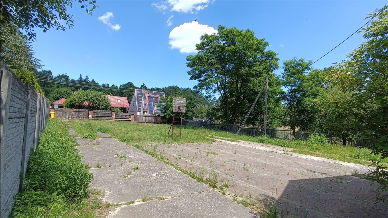 Magazyn na sprzedaż Mostki  7 000m2 Foto 4