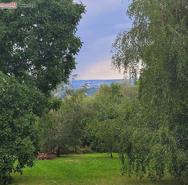 Zdjęcie 5