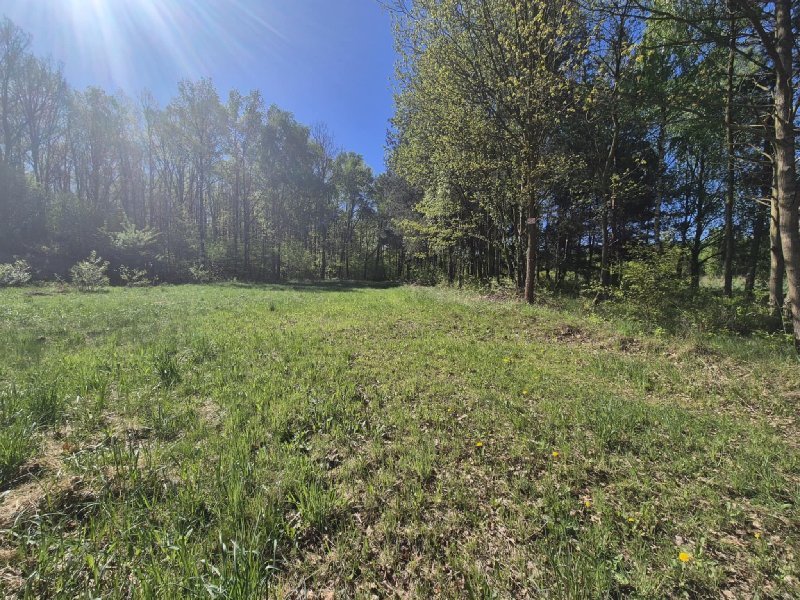 Działka pod zabudowę jednorodzinną z mediami i lasem Częstochowa, Wyczerpy  968m2 Foto 1