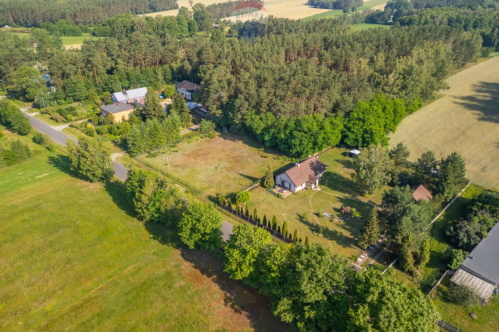 Działka budowlana na sprzedaż Ludowinka  1 719m2 Foto 4