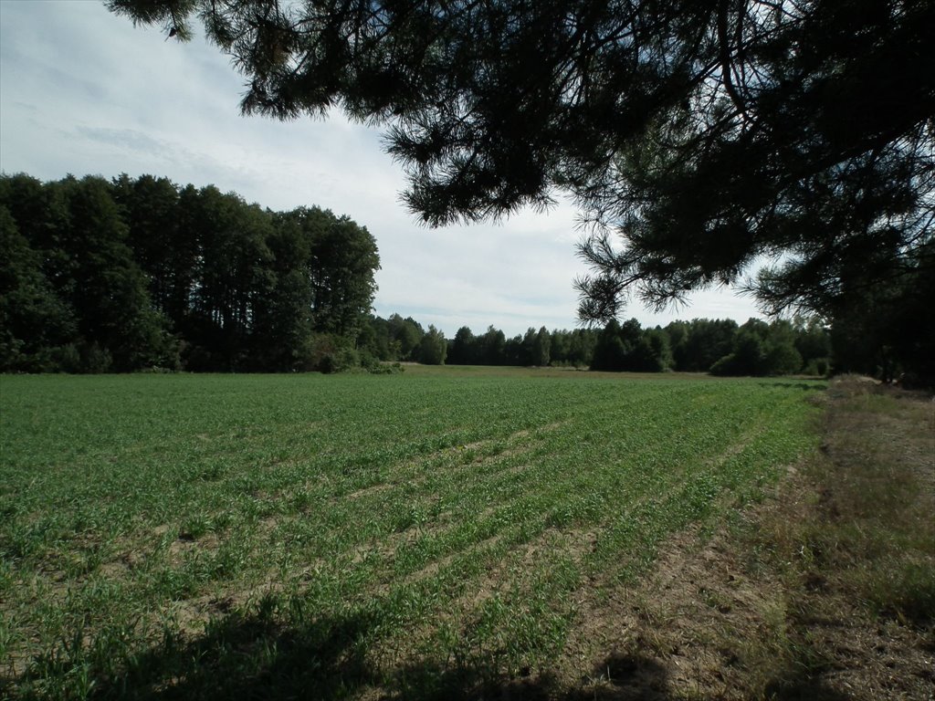 Działka rolna na sprzedaż Ślubowo  2 432m2 Foto 8