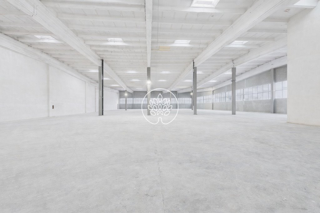 Przestronny magazyn 1518 m² z wysokim składowaniem i monitoringiem Toruń  1 518m2 Foto 1