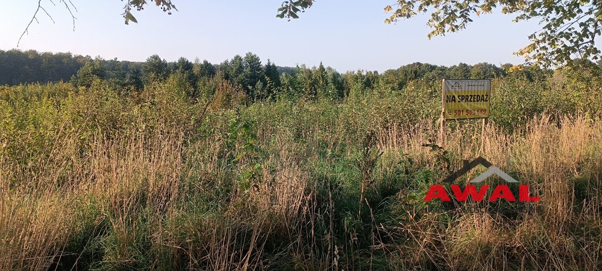 Działka budowlana na sprzedaż Darzlubie, Pucka  2 800m2 Foto 10