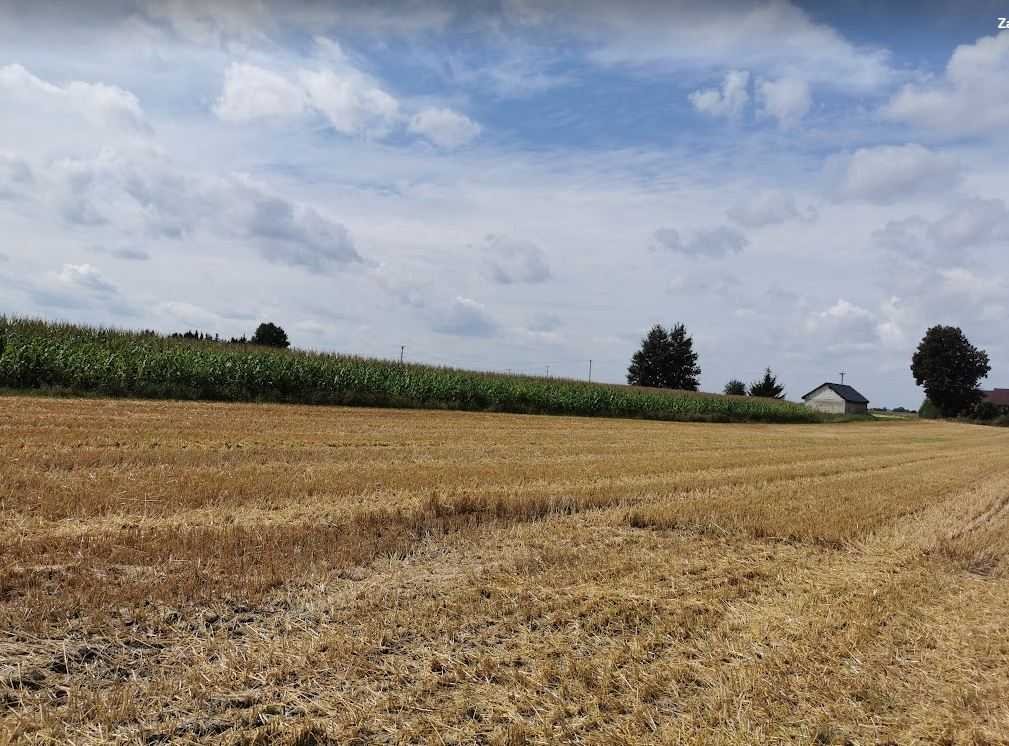 Działka rekreacyjna na sprzedaż Hrubieszów  5 000m2 Foto 16