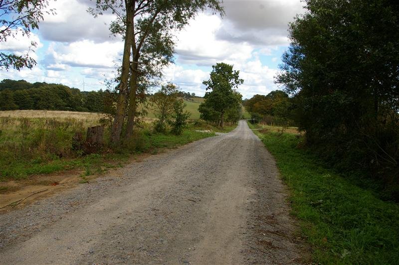 Działka budowlana na sprzedaż Zakrzewo, Zakrzewo  4 300m2 Foto 5