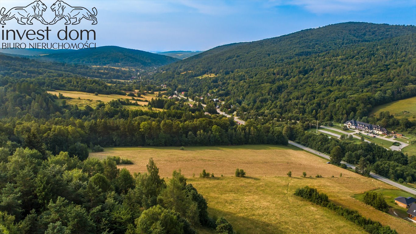 Działka budowlana na sprzedaż Małastów  24 800m2 Foto 12