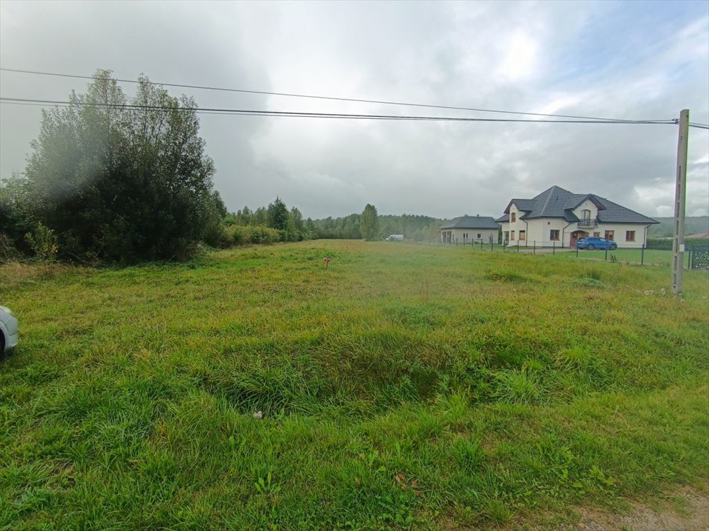 Do sprzedania działka 9286 m² z lasem i mediami w Adamowie Adamów  9 286m2 Foto 1