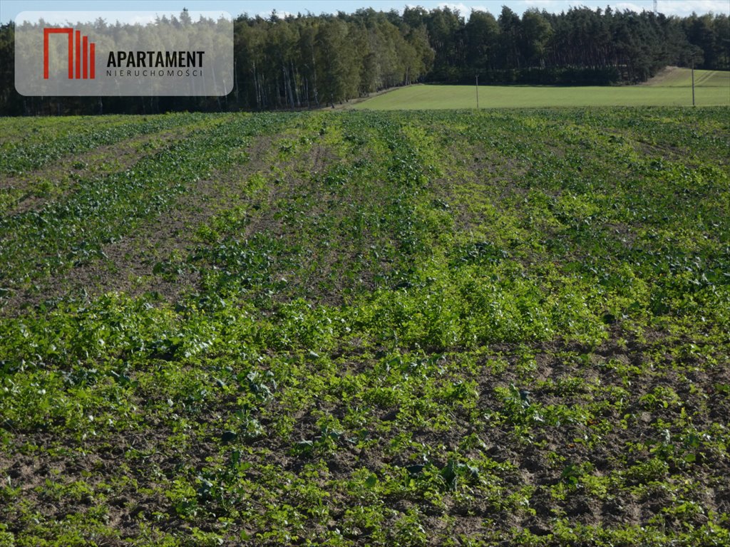 Działka budowlana na sprzedaż Żnin  900m2 Foto 2