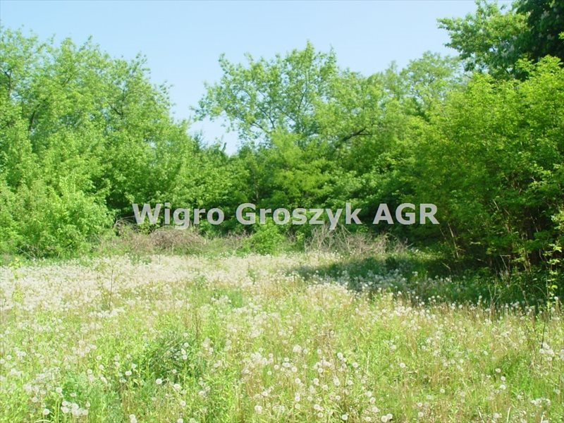 Działka budowlana na sprzedaż Nowy Dziekanów 12 205m2 Foto 1 Działka budowlana na sprzedaż Nowy Dziekanów 12 205m2 Foto 1