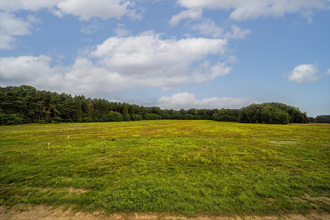 Działka budowlana na sprzedaż Skierniewice, Działka otoczona lasem 50 min od Warszawy!  529m2 Foto 8