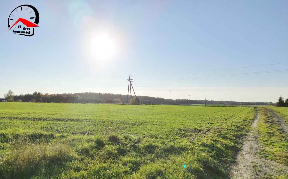 Dom na sprzedaż Ciencisko  250m2 Foto 22