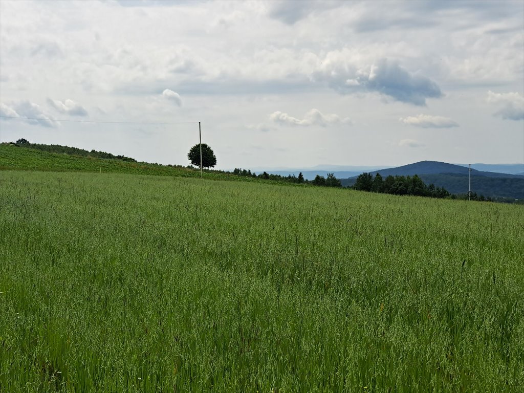 Działka rolna na sprzedaż Niebocko  2 860m2 Foto 13