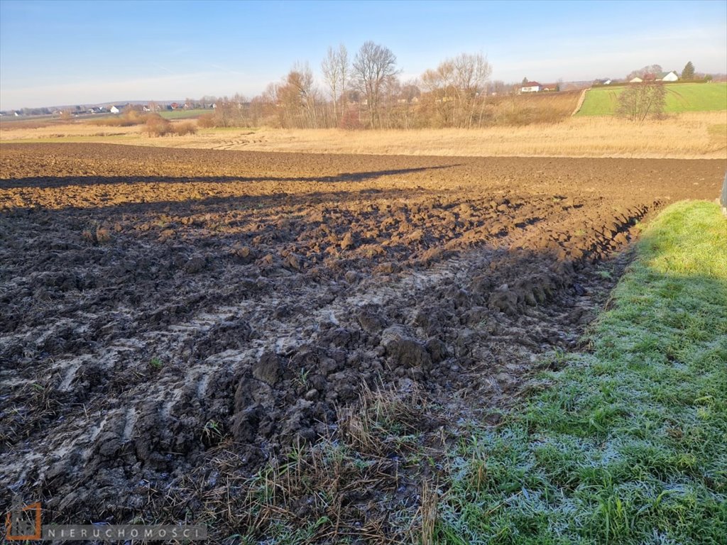 Działka budowlana na sprzedaż Wilków  600m2 Foto 6