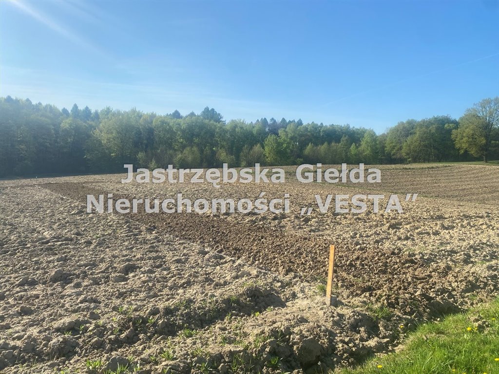 Działka rolna na sprzedaż Jastrzębie-Zdrój, Ruptawa  6 667m2 Foto 1