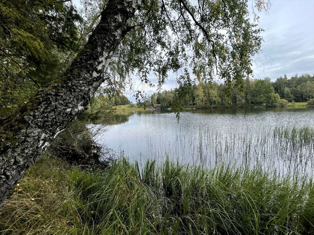 Działka budowlana na sprzedaż Sulęczyno  1 600m2 Foto 7