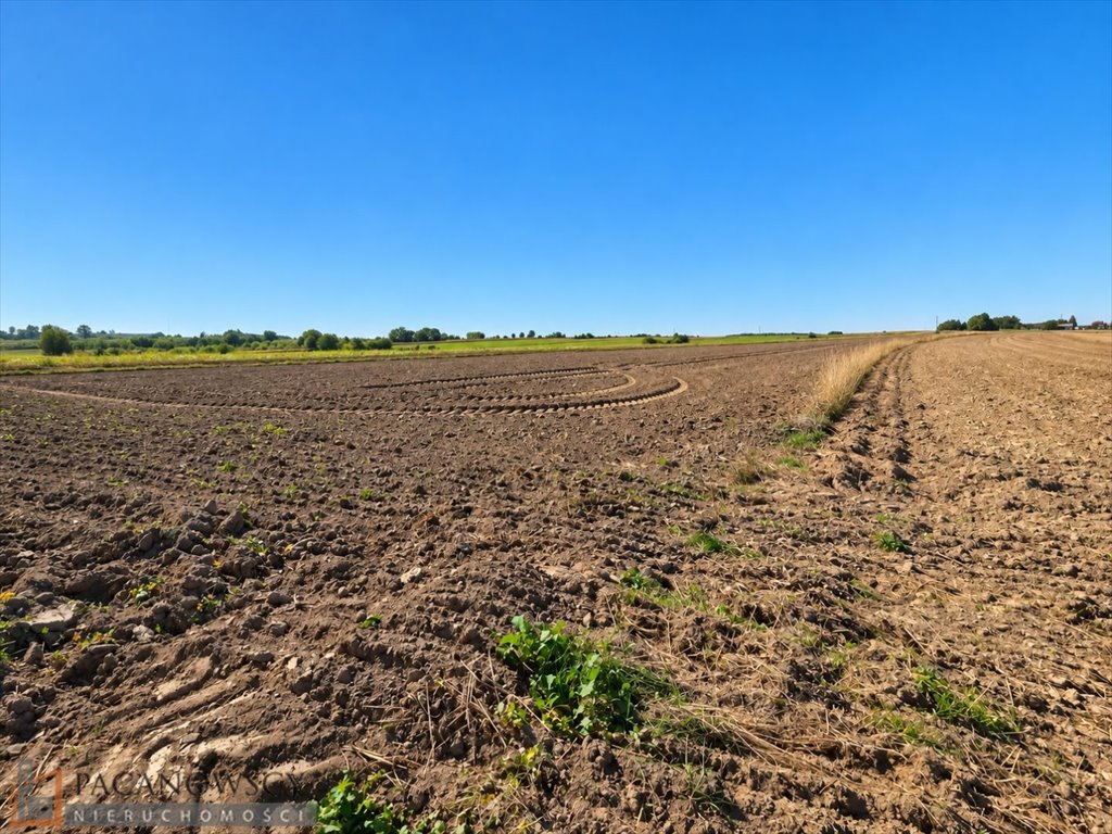 Sprzedam działkę 31,8 ara z pozwoleniem na budowę w Skała Skała  3 180m2 Foto 1