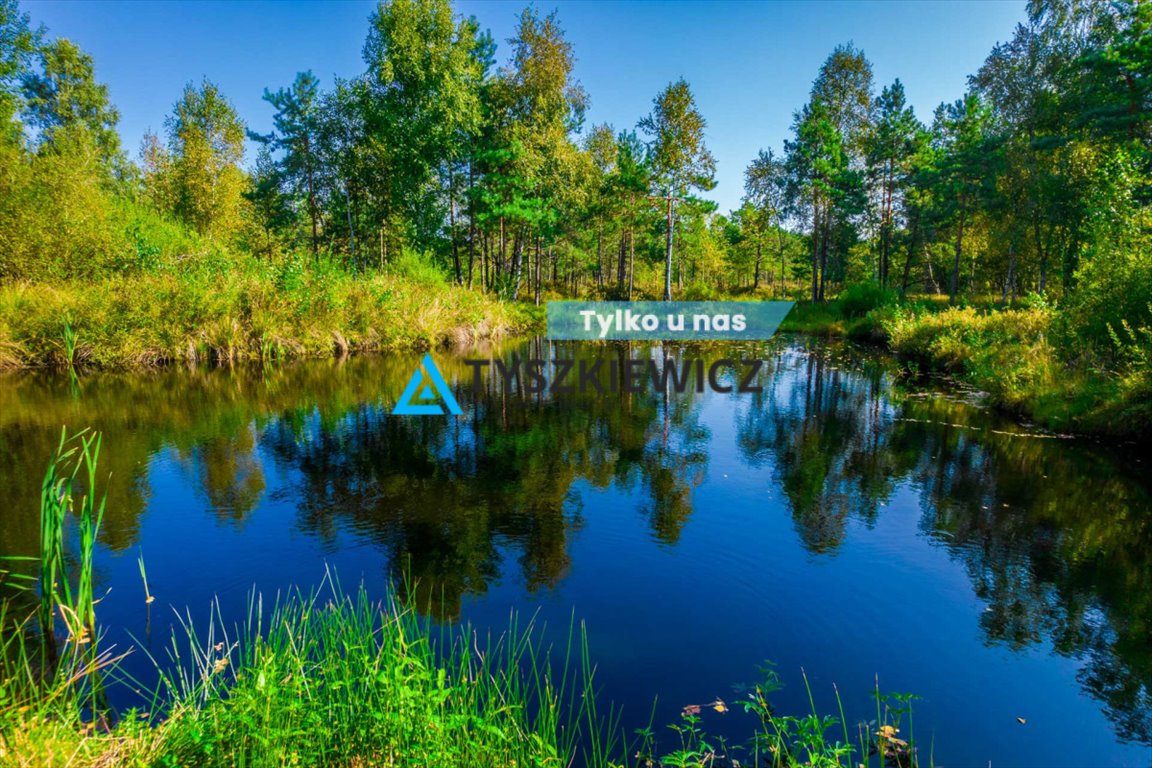 Działka leśna na sprzedaż Staniszewo  7 300m2 Foto 1