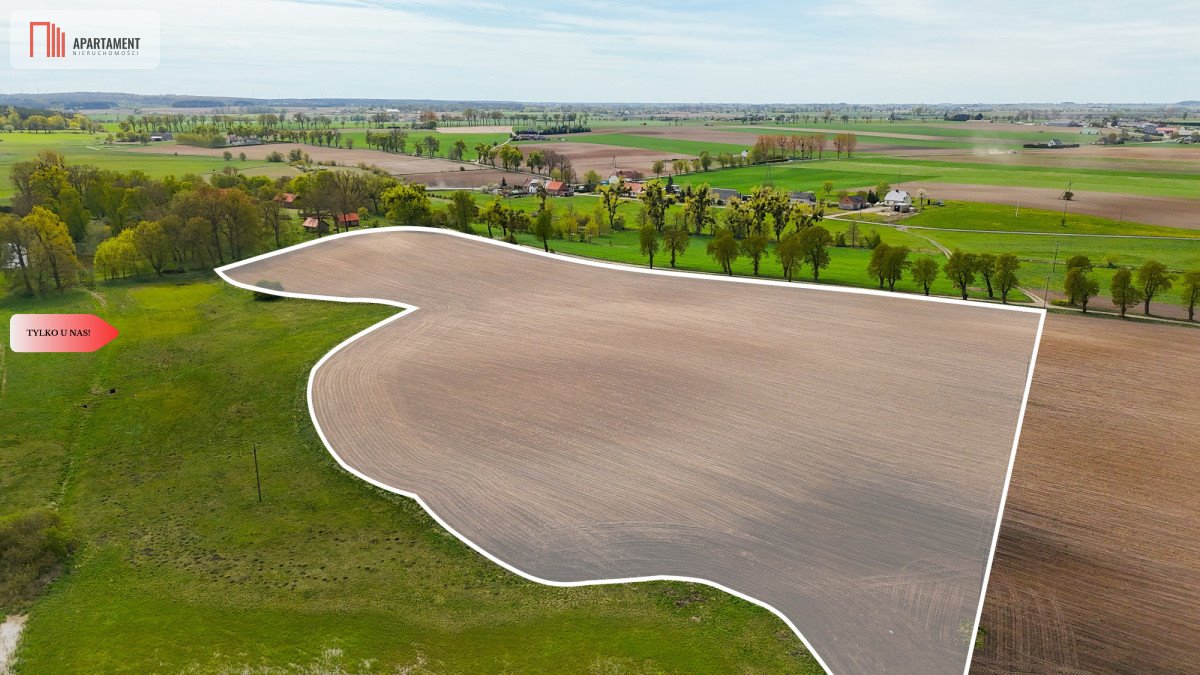 Do sprzedania działka 19 800 m² pod uprawy i inwestycję Suchoręcz  19 800m2 Foto 1
