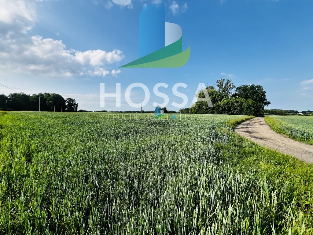 Działka inna na sprzedaż Gotardy  7 000m2 Foto 1