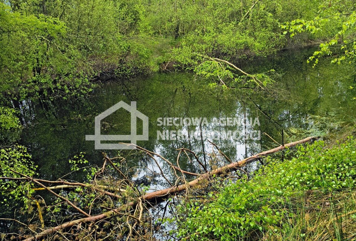 Działka rolna z stawem i domkiem w Kobylasz - polecam Kobylasz  13 504m2 Foto 1