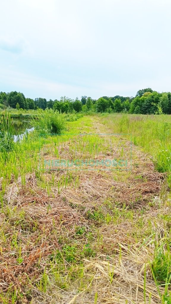 Działka inna na sprzedaż Szczęsne  7 977m2 Foto 17