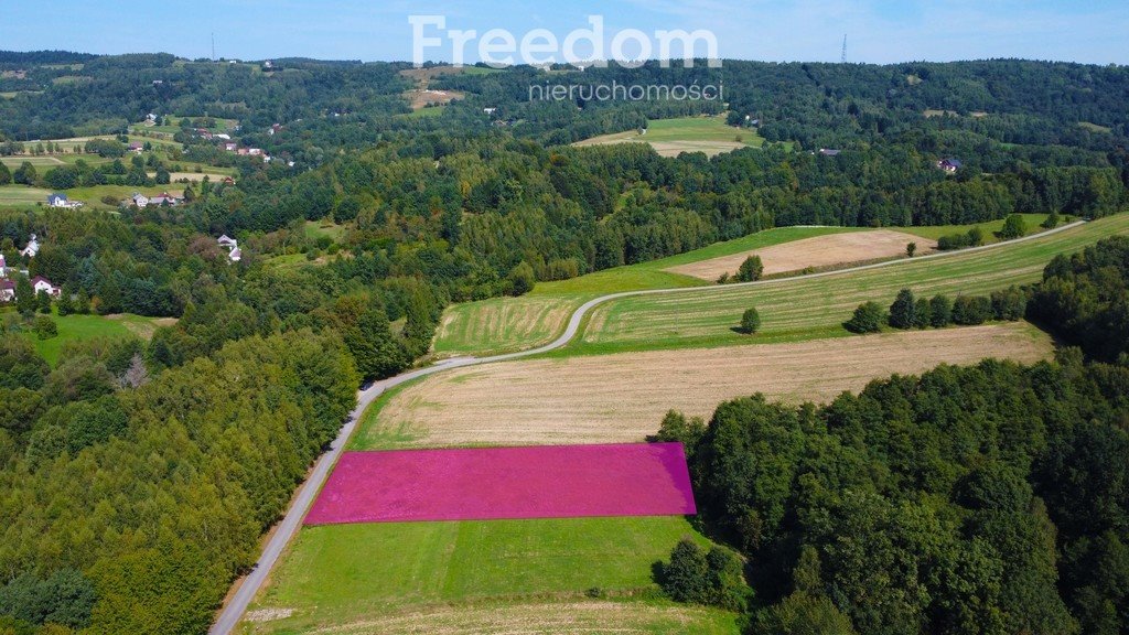 Działka inna na sprzedaż Korczyna, Mroczki  2 000m2 Foto 1