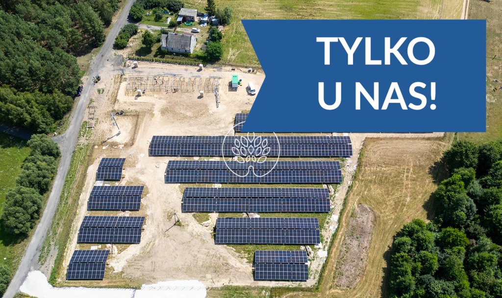 Inwestycja 1 MW w farmę fotowoltaiczną bifacial z panelami TRINA Kępa Kujawska  33 600m2 Foto 1